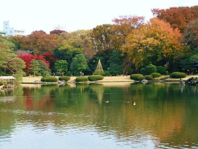 六義園の紅葉です