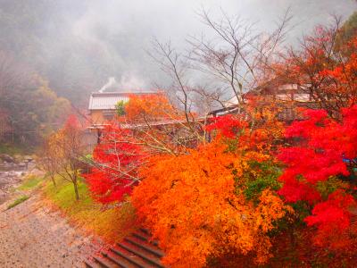 紅葉を巡る、雨の香嵐渓、晴れの小國神社 &amp; 夜のつま恋　