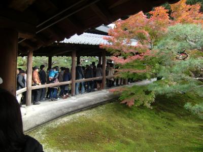 東福寺 臥雲橋・通天橋　その2