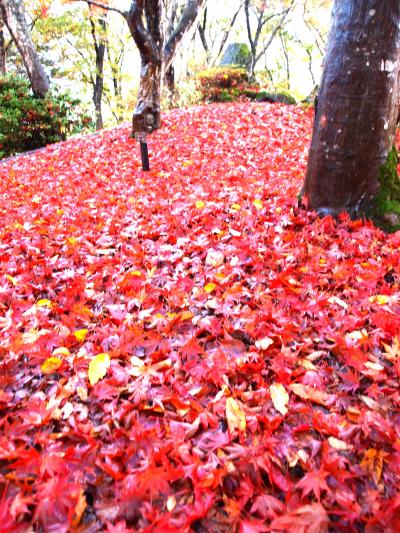 越後の 「 紅葉散策 」 & 日本唯一 「 矢立煙管館 」 の旅 ＜ 新潟県長岡市・柏崎市・西蒲原郡弥彦村・新潟市西区・燕市 ＞