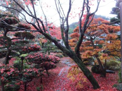 かにかにフリープラン山中温泉２日間