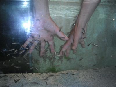 『水口センチュリーホテル』　今年泊まったホテル＆旅館　2012年　11