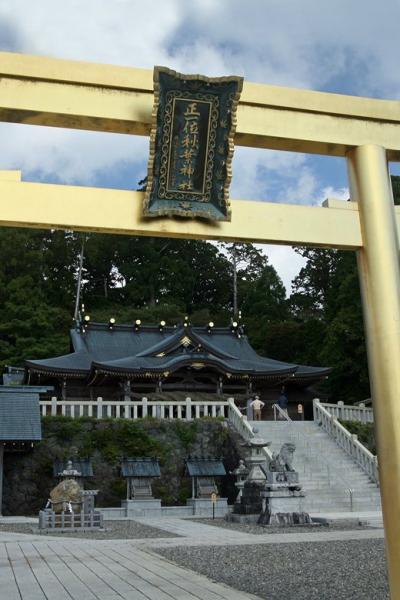 車で静岡 ★火の神・秋葉山に咲く秋の花 エンシュウハグマ