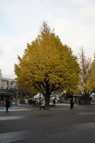 季節は冬だけど、気分は芸術の秋IN上野