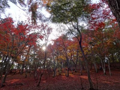 ◇（続）2012 秋の週末 ‐ 紅葉と温泉と◇ 【修善寺、伊豆長岡温泉、昇仙峡＆武田神社】（静岡県／山梨県）