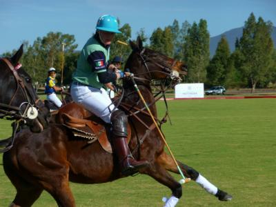 ケレタロでの目的はBritish Polo Dayと障害飛越メキシコ国内選手権観戦！