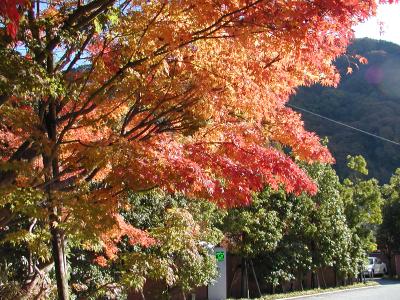 &lt;目次というかダイジェスト&gt;錦秋の候、四国＆関西　まったり２泊３日旅行