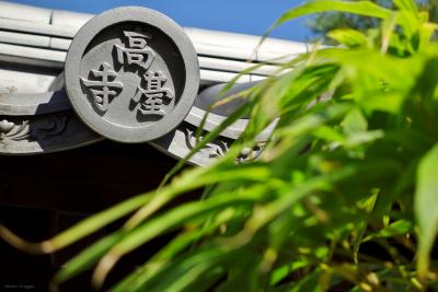 よっしゃ、京都へ行くどす(ぇ)!2012。 ねねさまのお寺へ。高台寺~圓徳院