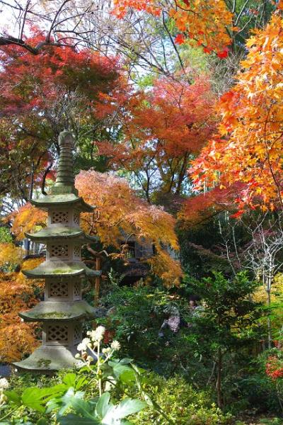 武蔵国分寺公園～お鷹の道を散策