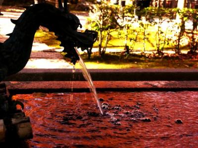 紅葉回廊・永観堂 ~京都でミニオフ~