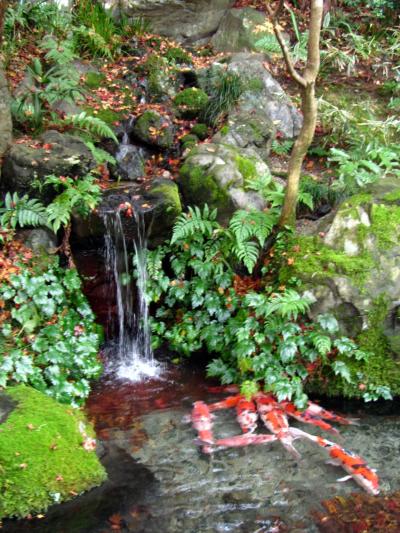 秋晴れの京都ウォーク18　瑠璃光院