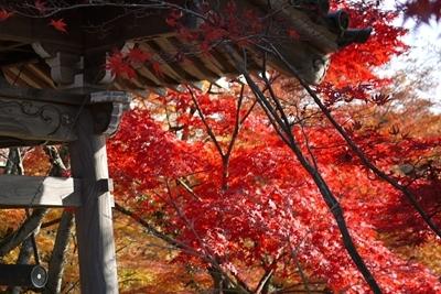 2012年11月　紅葉を見に～犬山