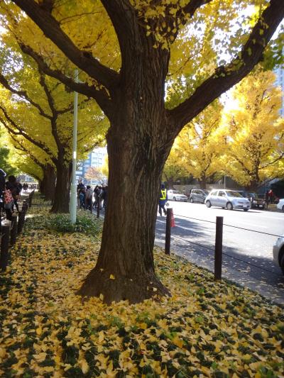 お試し！バス日帰り旅行☆紅葉名所めぐり