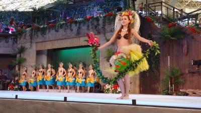 寒い日本で常夏ハワイアンズ♪