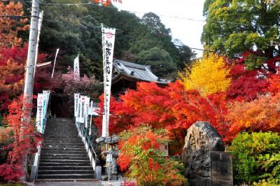 2012 紅葉　（9）大垣・円興寺の紅葉