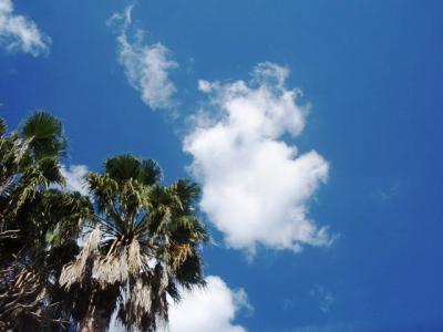 ブリスベン覚え書き