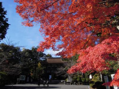 錦秋の近江路　その１