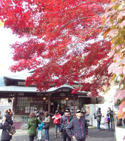 紅葉にはもはや遅参(￣ー￣；～　武蔵御嶽神社参拝＆つるつる温泉