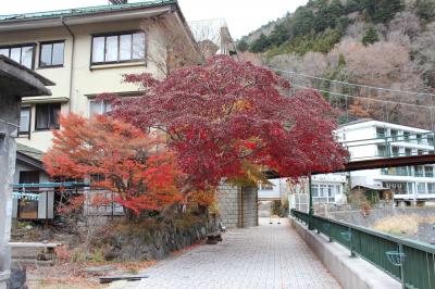 塩原温泉と那須動物王国
