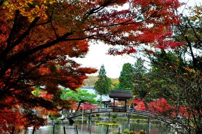 2012 紅葉　（10）多治見・永保寺の紅葉