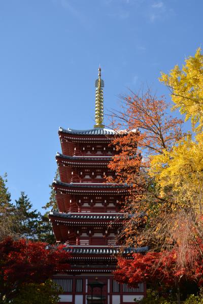 ２０１２年本土寺の紅葉