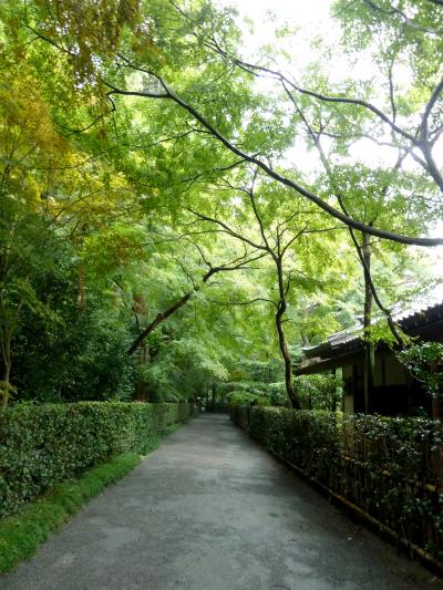 【近郊30】2012.10寒く雨の降る中，平林寺の歩く会に参加