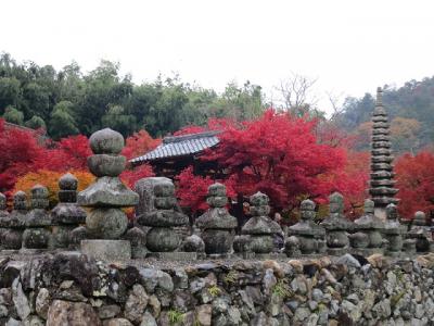 2012京都紅葉めぐり～奥嵯峨野めぐり～