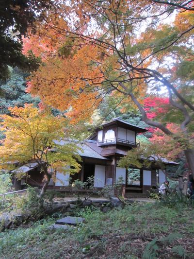 紅葉の三渓園