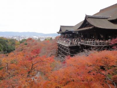 秋の京都～嵐山＆清水寺～