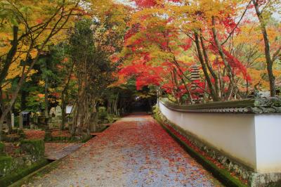 兵庫県・西脇市（2012秋）★北播磨の紅葉の名刹・西林寺