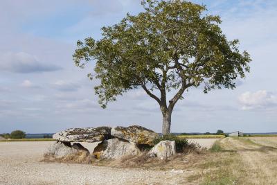 Mur de l'Atlantique - ロワール地方の美しい遺跡 lrg_10730786.jpg?updated_at=
