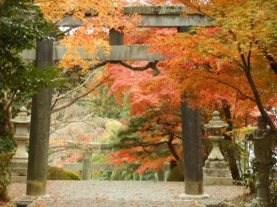 2012年　洛西大原野神社と紅葉
