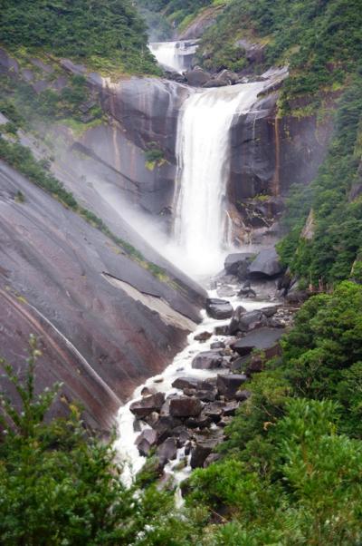 ［12］屋久島旅行＜2/2千尋滝，紀元杉，ヤクスギランド＞