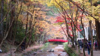 天竜浜名湖鉄道の旅