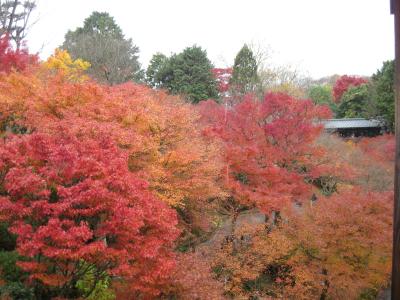 2012　秋の京都　紅葉の東福寺を訪れる