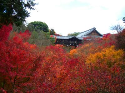 ２００８年　京都紅葉