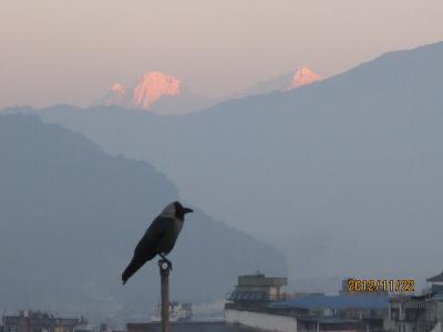 癒しのネパール