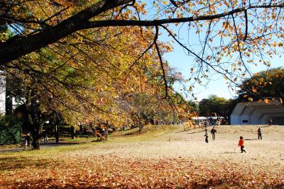 日立中央研究所庭園、秋の一般公開