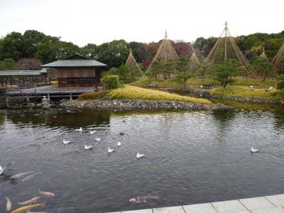 都心の日本庭園