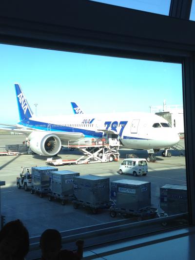 リベンジB787で行く！大阪ひとり旅2日目