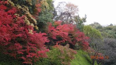 香嵐渓に行ってみました。
