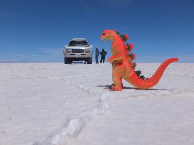 南米初旅行（１） 高い高い　（Peru, Bolivia,　Nov. 2012）