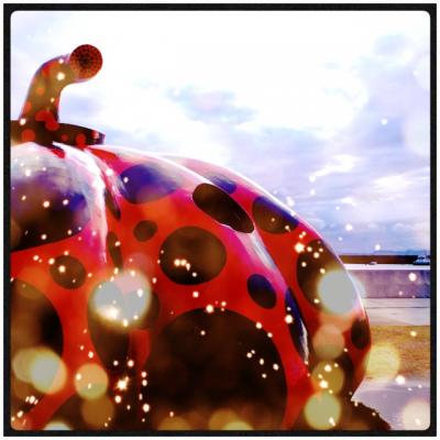 2012秋☆愛知発☆四国ほぼ一周?! 1400ｷﾛの旅① 香川・さぬきうどんと憧れの直島♪