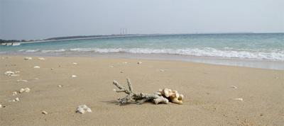台湾・香港(マカオ)の旅(6日目) ~ 澎湖島・台中 ~