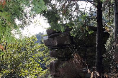 鈴鹿の山　　羽鳥峰 (823m)  ･　お金明神