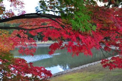 岩手・宮城　東北で世界遺産と温泉と紅葉狩り！