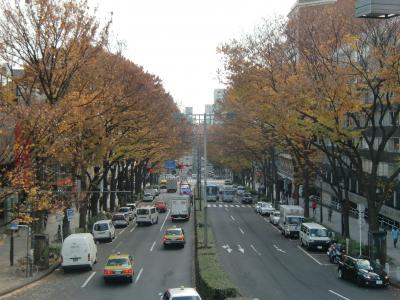 冬休み2012　in Japan　2日目（明治神宮から六本木まで）