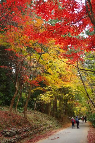 小國神社紅葉と浜松餃子☆