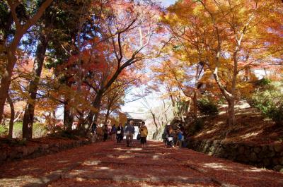 2012　京都紅葉だより  青空に映える紅葉の毘沙門堂