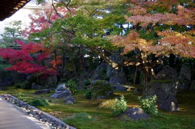 2012 京都紅葉だより　まさに穴場の達磨寺